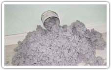 remove dryer lint