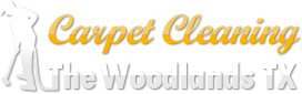 Carpet Cleaning The Woodlands TX